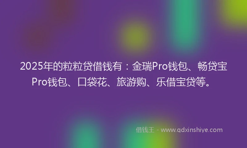2025年的粒粒贷借钱有：金瑞Pro钱包、畅贷宝Pro钱包、口袋花、旅游购、乐借宝贷等。