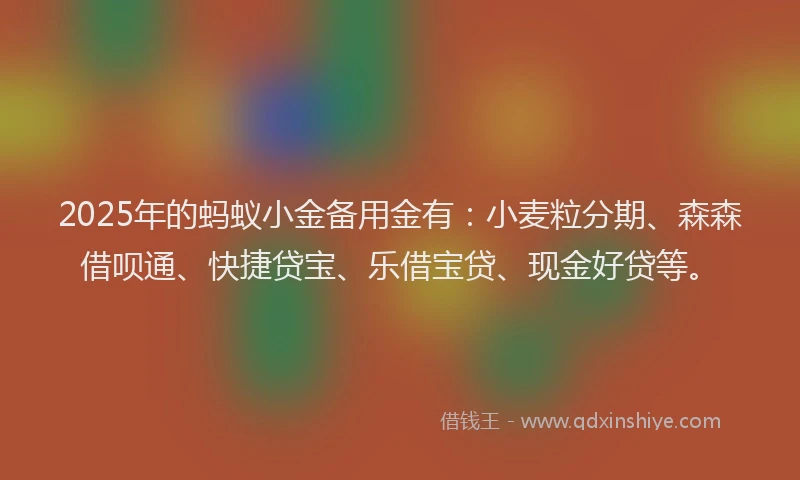 2025年的蚂蚁小金备用金有：小麦粒分期、森森借呗通、快捷贷宝、乐借宝贷、现金好贷等。