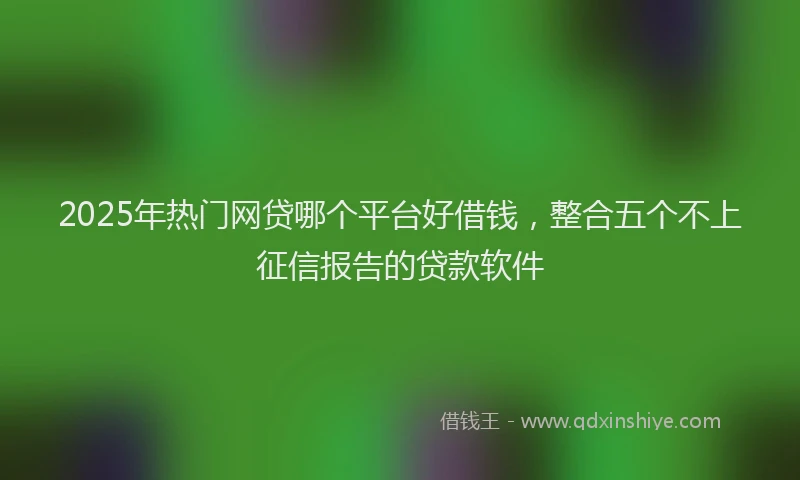 2025年热门网贷哪个平台好借钱，整合五个不上征信报告的贷款软件