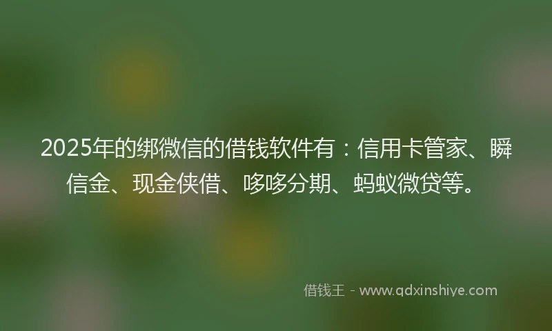 2025年的绑微信的借钱软件有：信用卡管家、瞬信金、现金侠借、哆哆分期、蚂蚁微贷等。