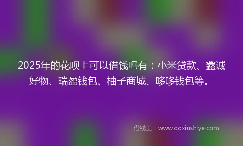 2025年的花呗上可以借钱吗有：小米贷款、鑫诚好物、瑞盈钱包、柚子商城、哆哆钱包等。