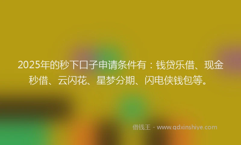 2025年的秒下口子申请条件有：钱贷乐借、现金秒借、云闪花、星梦分期、闪电侠钱包等。