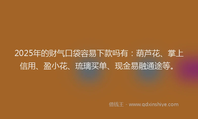 2025年的财气口袋容易下款吗有：葫芦花、掌上信用、盈小花、琉璃买单、现金易融通途等。