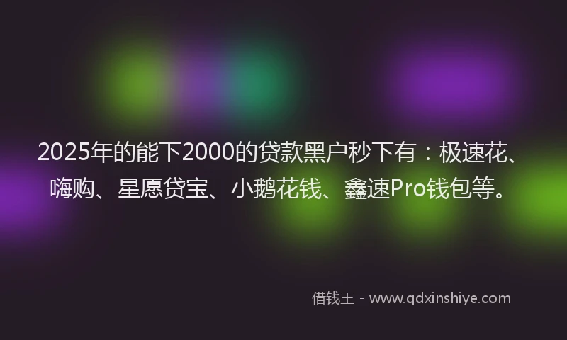 2025年的能下2000的贷款黑户秒下有：极速花、嗨购、星愿贷宝、小鹅花钱、鑫速Pro钱包等。