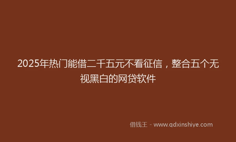 2025年热门能借二千五元不看征信，整合五个无视黑白的网贷软件