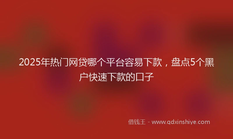 2025年热门网贷哪个平台容易下款，盘点5个黑户快速下款的口子