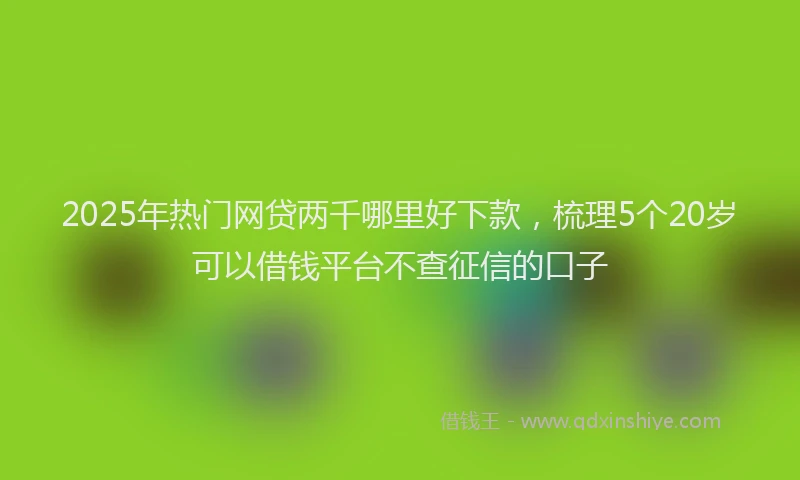 2025年热门网贷两千哪里好下款，梳理5个20岁可以借钱平台不查征信的口子