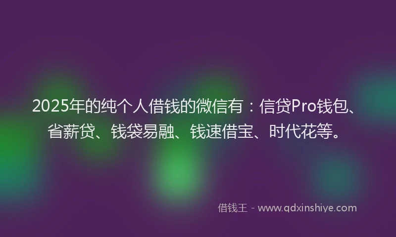 2025年的纯个人借钱的微信有：信贷Pro钱包、省薪贷、钱袋易融、钱速借宝、时代花等。