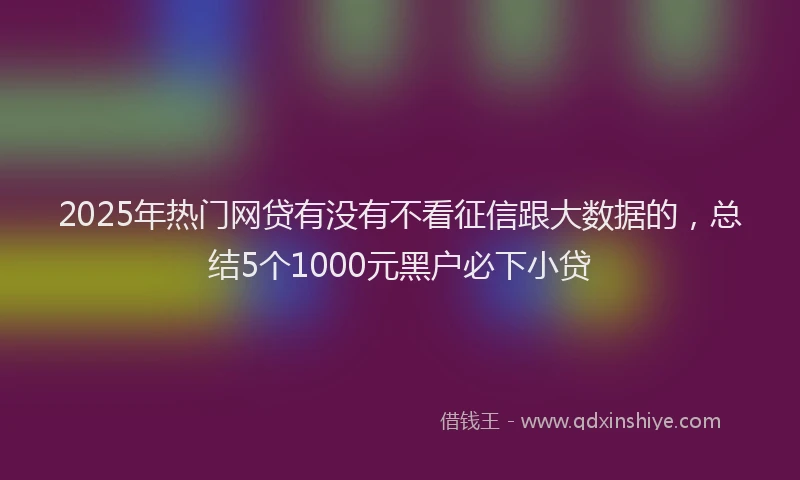 2025年热门网贷有没有不看征信跟大数据的，总结5个1000元黑户必下小贷