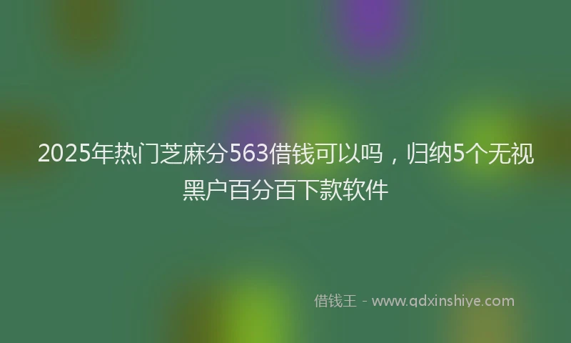2025年热门芝麻分563借钱可以吗，归纳5个无视黑户百分百下款软件