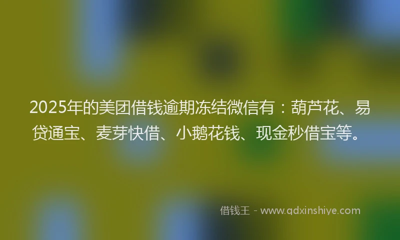 2025年的美团借钱逾期冻结微信有：葫芦花、易贷通宝、麦芽快借、小鹅花钱、现金秒借宝等。