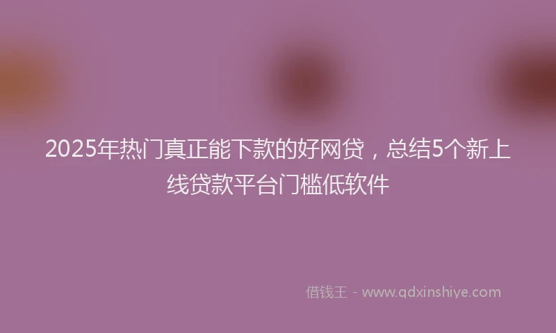 2025年热门真正能下款的好网贷，总结5个新上线贷款平台门槛低软件