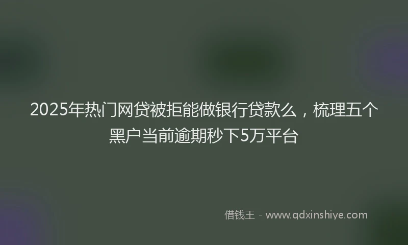 2025年热门网贷被拒能做银行贷款么，梳理五个黑户当前逾期秒下5万平台
