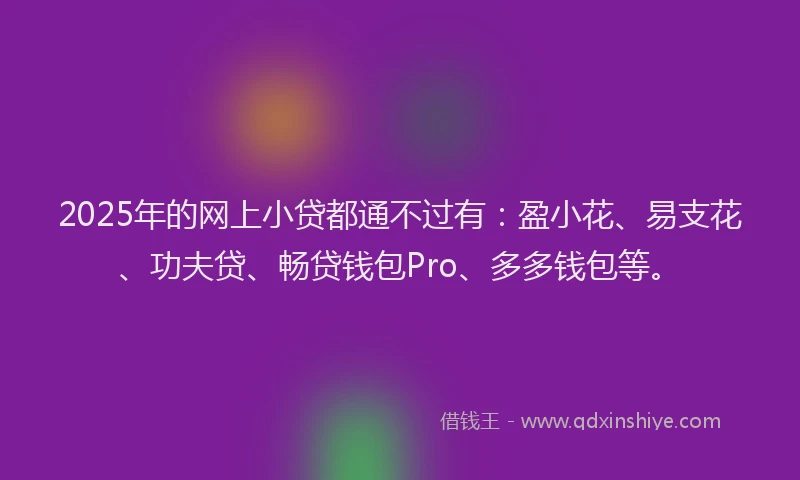 2025年的网上小贷都通不过有：盈小花、易支花、功夫贷、畅贷钱包Pro、多多钱包等。