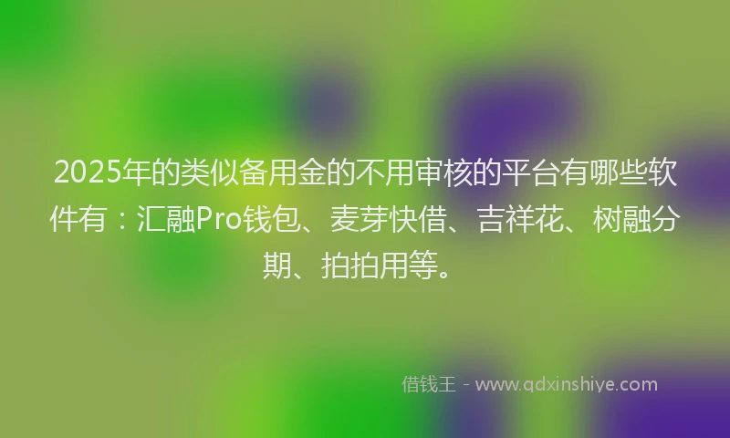 2025年的类似备用金的不用审核的平台有哪些软件有：汇融Pro钱包、麦芽快借、吉祥花、树融分期、拍拍用等。