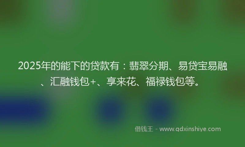 2025年的能下的贷款有：翡翠分期、易贷宝易融、汇融钱包+、享来花、福禄钱包等。