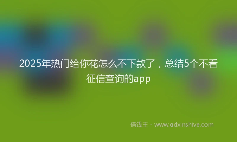2025年热门给你花怎么不下款了，总结5个不看征信查询的app