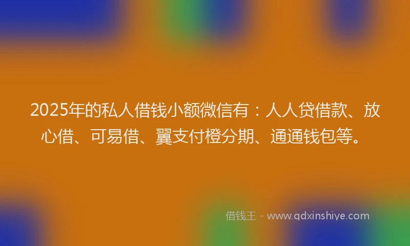 2025年的私人借钱小额微信有：人人贷借款、放心借、可易借、翼支付橙分期、通通钱包等。