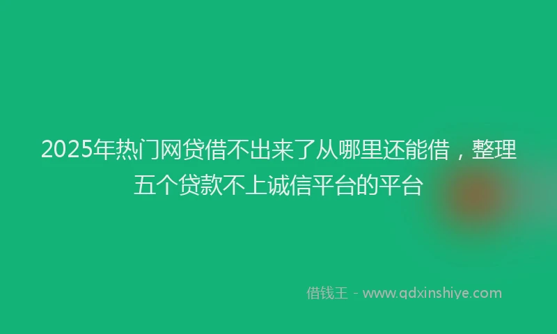 2025年热门网贷借不出来了从哪里还能借，整理五个贷款不上诚信平台的平台