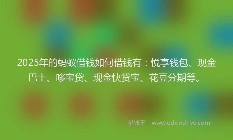 2025年的蚂蚁借钱如何借钱有：悦享钱包、现金巴士、哆宝贷、现金快贷宝、花豆分期等。