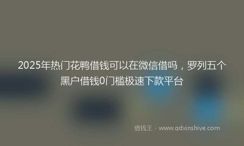 2025年热门花鸭借钱可以在微信借吗，罗列五个黑户借钱0门槛极速下款平台