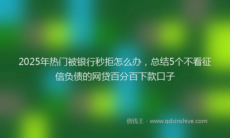 2025年热门被银行秒拒怎么办，总结5个不看征信负债的网贷百分百下款口子