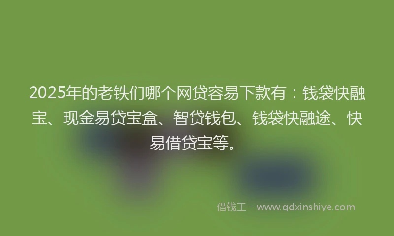 2025年的老铁们哪个网贷容易下款有：钱袋快融宝、现金易贷宝盒、智贷钱包、钱袋快融途、快易借贷宝等。