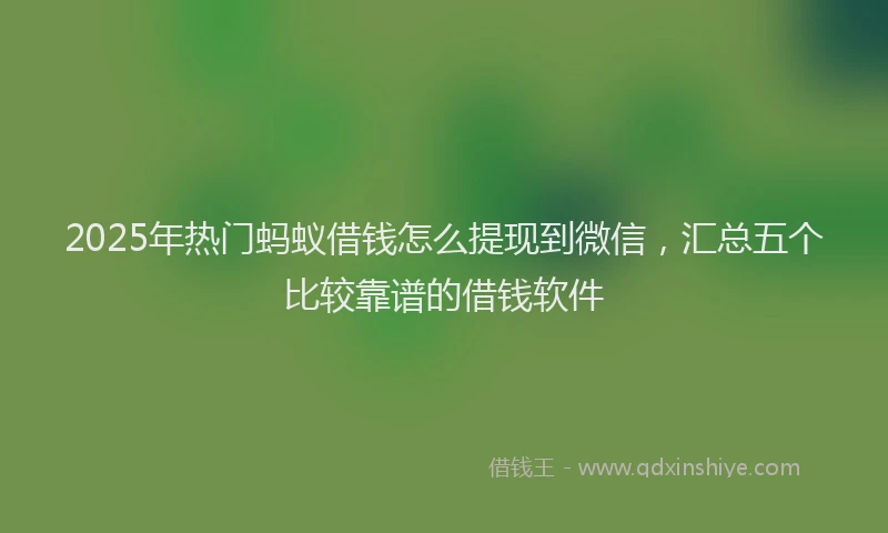 2025年热门蚂蚁借钱怎么提现到微信，汇总五个比较靠谱的借钱软件