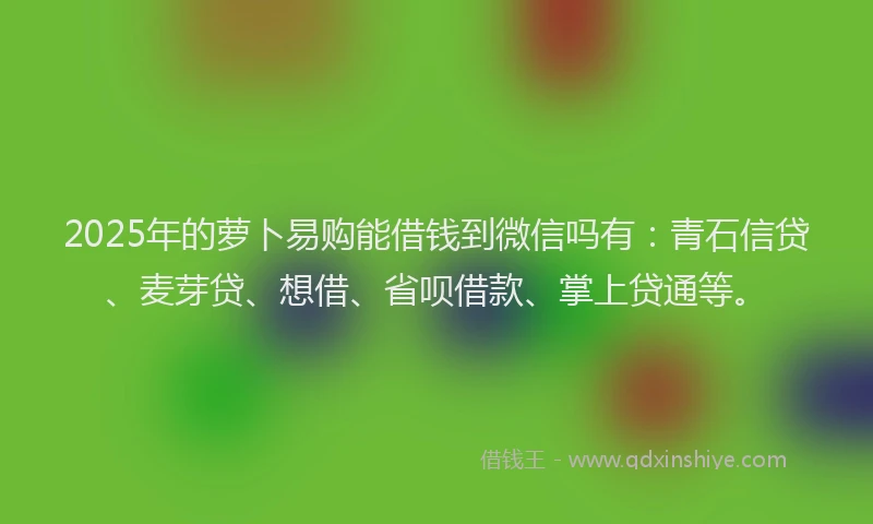 2025年的萝卜易购能借钱到微信吗有：青石信贷、麦芽贷、想借、省呗借款、掌上贷通等。