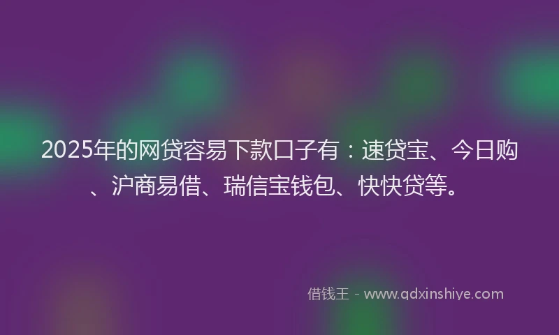 2025年的网贷容易下款口子有：速贷宝、今日购、沪商易借、瑞信宝钱包、快快贷等。