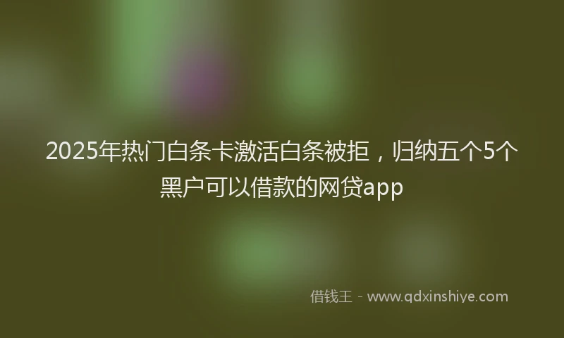2025年热门白条卡激活白条被拒，归纳五个5个黑户可以借款的网贷app