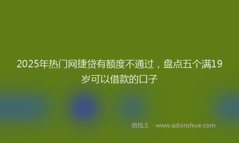 2025年热门网捷贷有额度不通过，盘点五个满19岁可以借款的口子