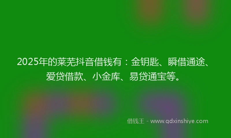 2025年的莱芜抖音借钱有：金钥匙、瞬借通途、爱贷借款、小金库、易贷通宝等。