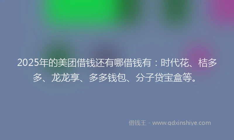 2025年的美团借钱还有哪借钱有：时代花、桔多多、龙龙享、多多钱包、分子贷宝盒等。