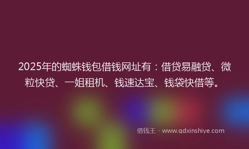 2025年的蜘蛛钱包借钱网址有：借贷易融贷、微粒快贷、一姐租机、钱速达宝、钱袋快借等。