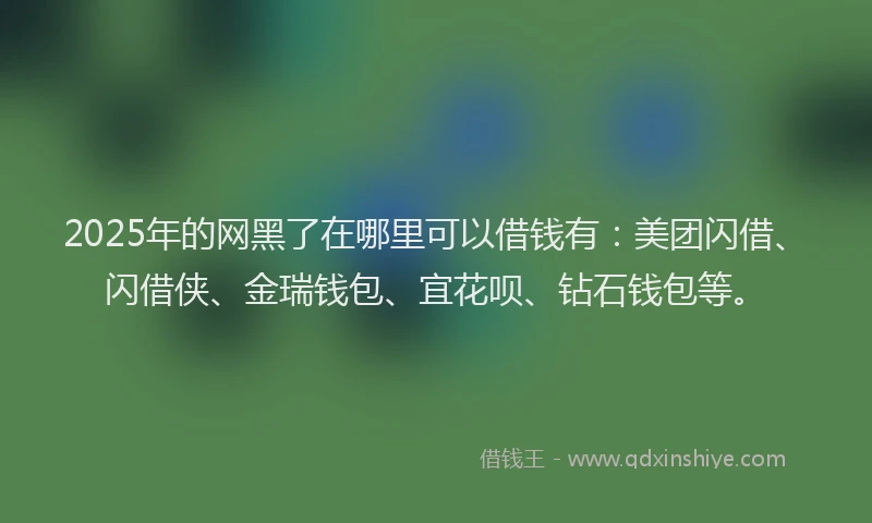 2025年的网黑了在哪里可以借钱有：美团闪借、闪借侠、金瑞钱包、宜花呗、钻石钱包等。