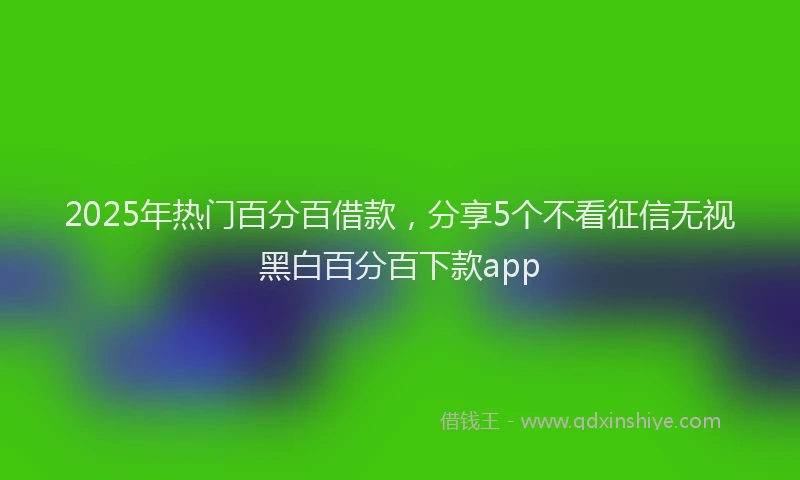 2025年热门百分百借款，分享5个不看征信无视黑白百分百下款app