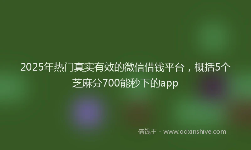 2025年热门真实有效的微信借钱平台，概括5个芝麻分700能秒下的app