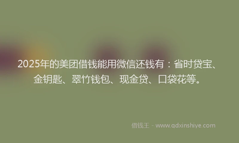 2025年的美团借钱能用微信还钱有：省时贷宝、金钥匙、翠竹钱包、现金贷、口袋花等。