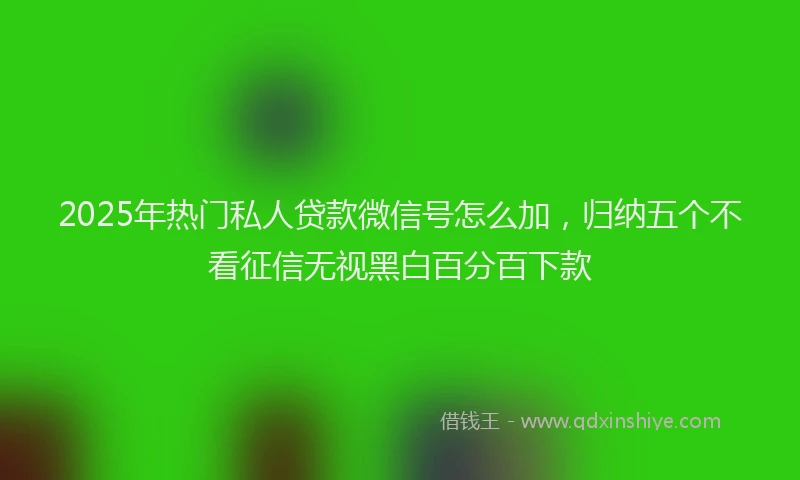 2025年热门私人贷款微信号怎么加，归纳五个不看征信无视黑白百分百下款