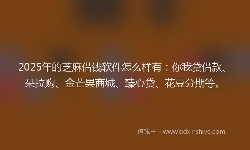 2025年的芝麻借钱软件怎么样有：你我贷借款、朵拉购、金芒果商城、臻心贷、花豆分期等。