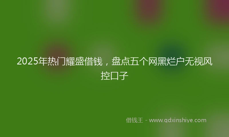 2025年热门耀盛借钱，盘点五个网黑烂户无视风控口子