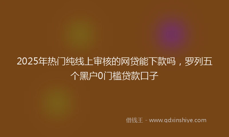 2025年热门纯线上审核的网贷能下款吗，罗列五个黑户0门槛贷款口子