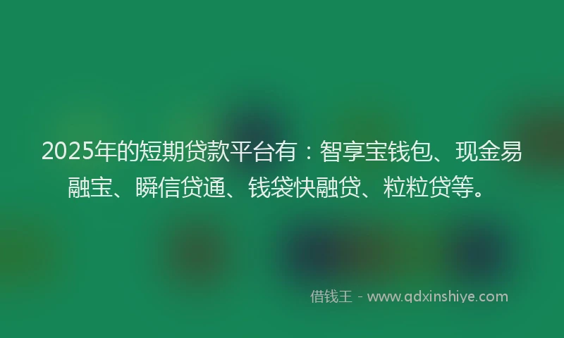 2025年的短期贷款平台有：智享宝钱包、现金易融宝、瞬信贷通、钱袋快融贷、粒粒贷等。
