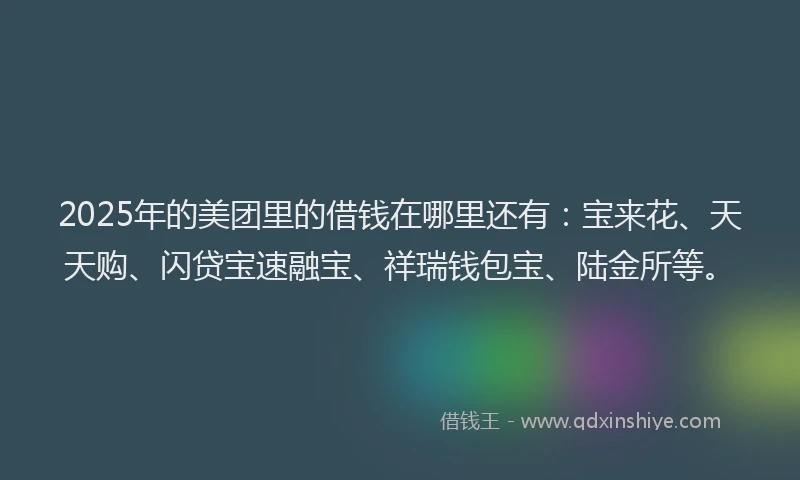2025年的美团里的借钱在哪里还有：宝来花、天天购、闪贷宝速融宝、祥瑞钱包宝、陆金所等。