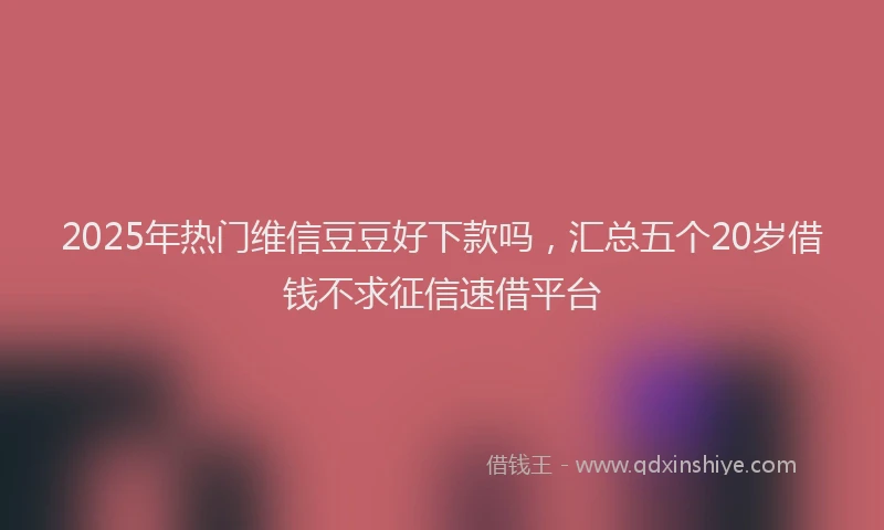 2025年热门维信豆豆好下款吗，汇总五个20岁借钱不求征信速借平台