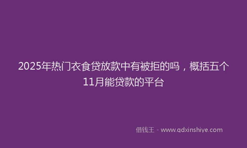 2025年热门衣食贷放款中有被拒的吗，概括五个11月能贷款的平台