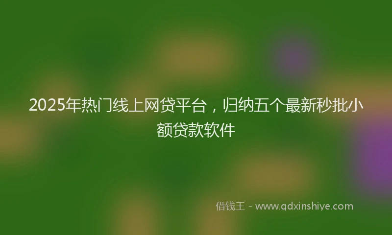 2025年热门线上网贷平台，归纳五个最新秒批小额贷款软件