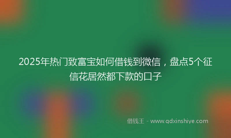 2025年热门致富宝如何借钱到微信，盘点5个征信花居然都下款的口子