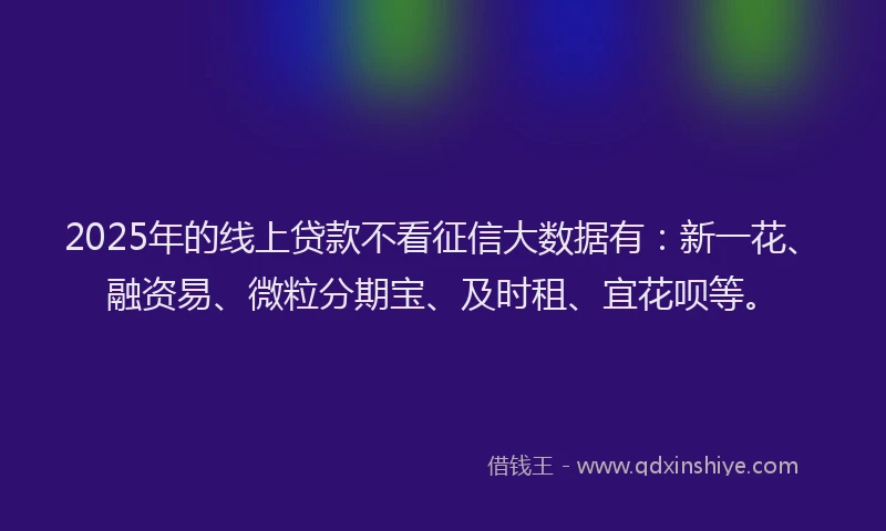 2025年的线上贷款不看征信大数据有：新一花、融资易、微粒分期宝、及时租、宜花呗等。